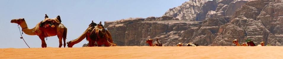 Wadi Rum Camel Trek